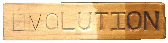 Évolution